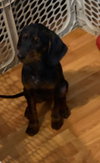Mason