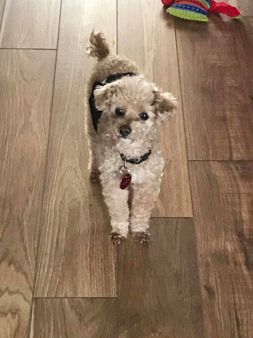 Theodore