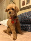 Theodore