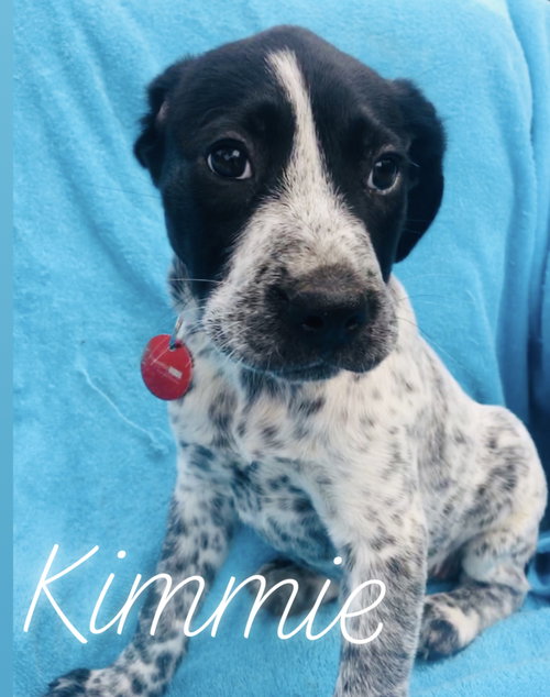 Kimmie