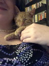 Kit Kat