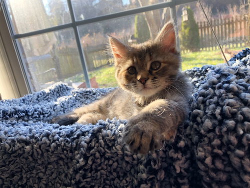 Winnie
