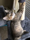 Winnie