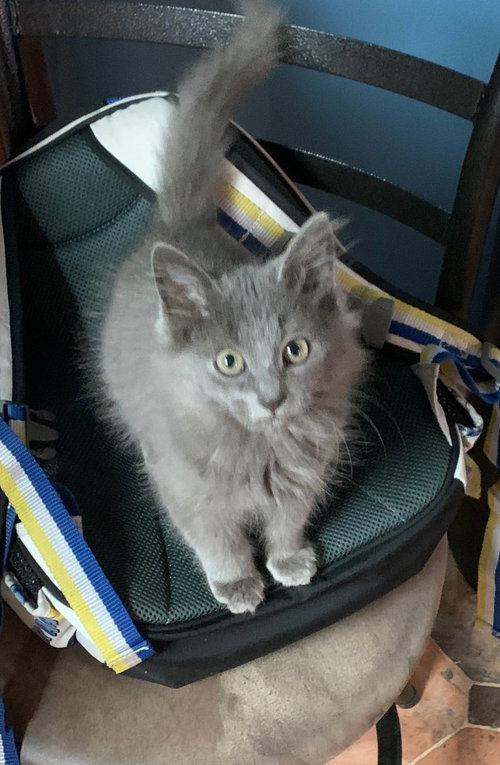 Binx