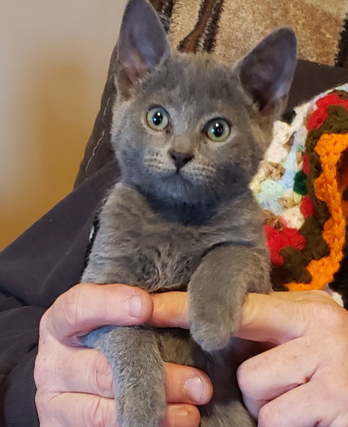Juno