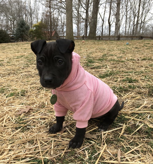 Rosie