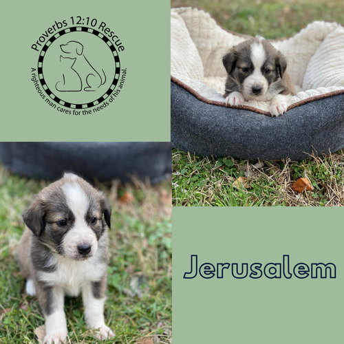Jerusalem