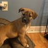 Fiona