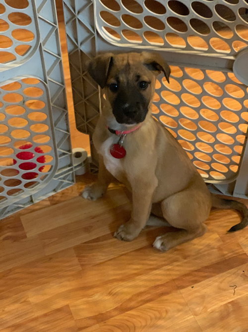 Fiona