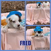 Fred