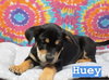 Huey
