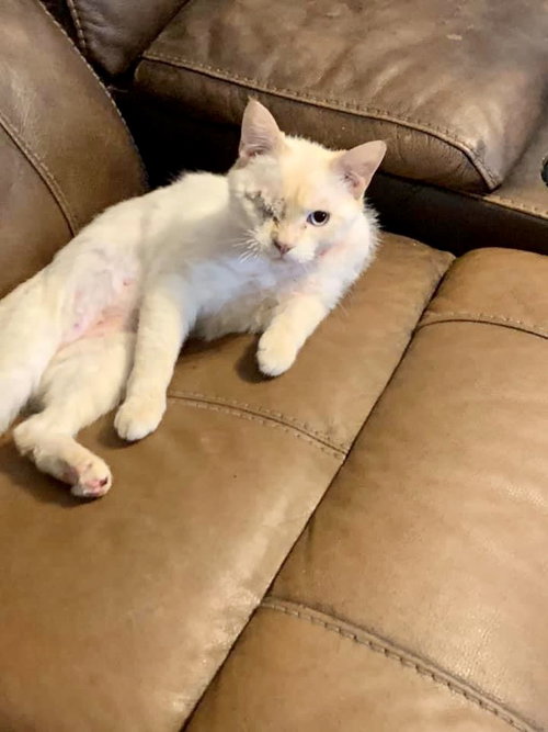 Sassy