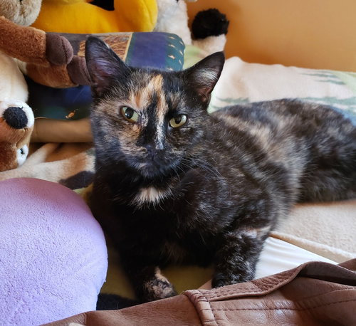 Mia
