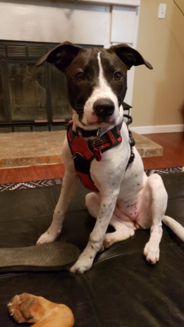 Baylor