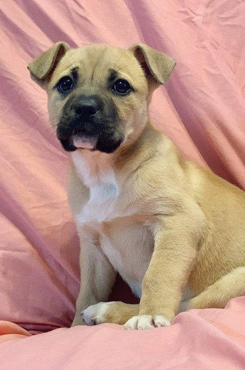 Chloe