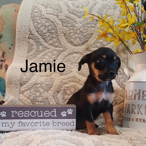 Jamie