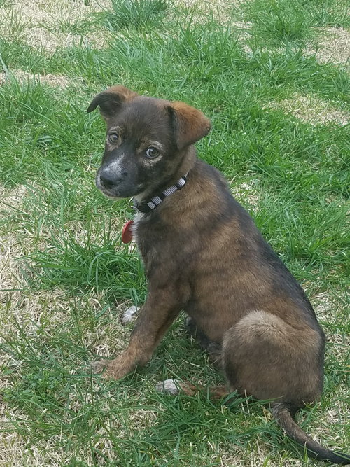 Luna