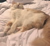 Kiki