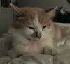 Kiki