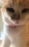 Kiki