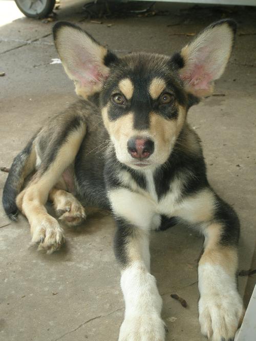 Jethro