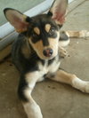 Jethro
