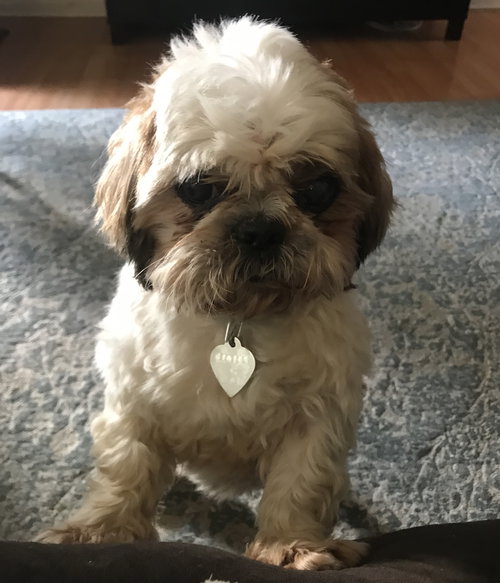 Marvin