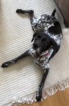 Lilah