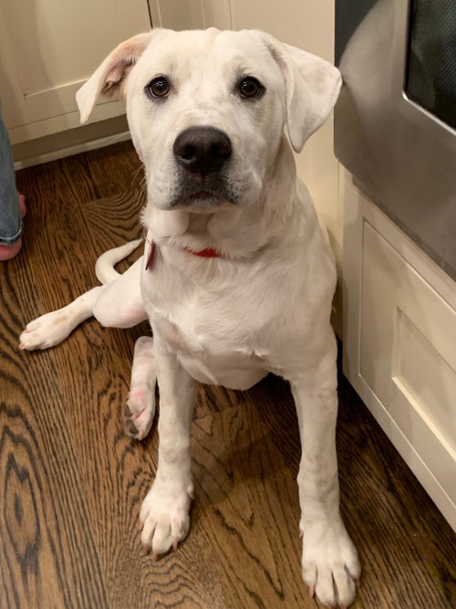 Milo