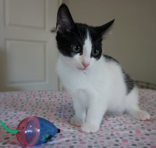 Vivian