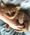 Wilson