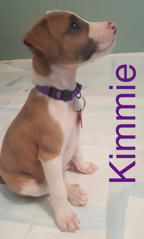 Kimmie