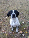 Barkley