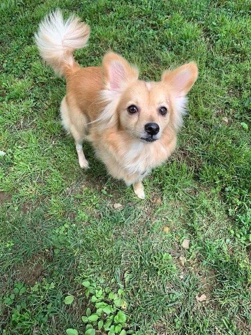 Rosie
