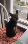 Maggie