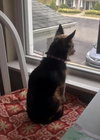 Maggie