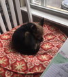 Maggie