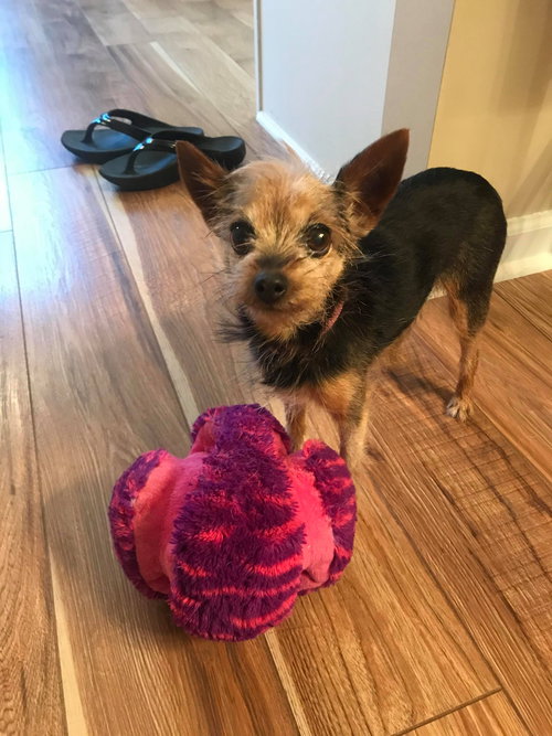Maggie