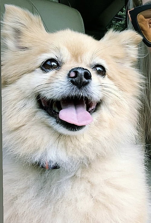 Mitzie