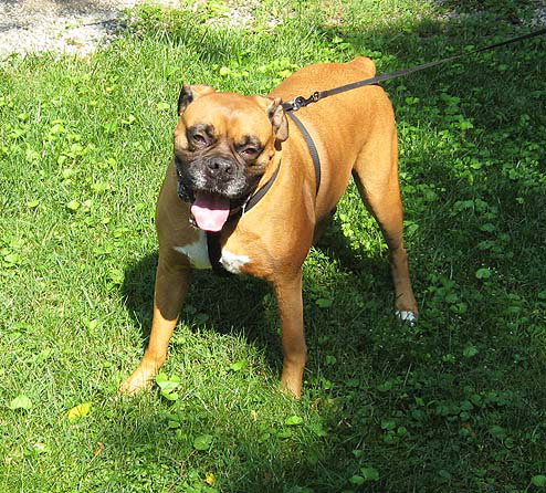 Maggie