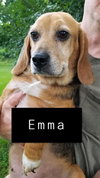 Emma