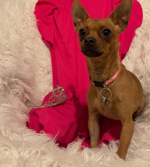 Tiara