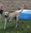 Polar