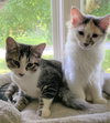 Bubba & Sissy