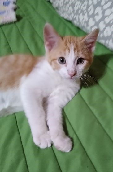 Einstein