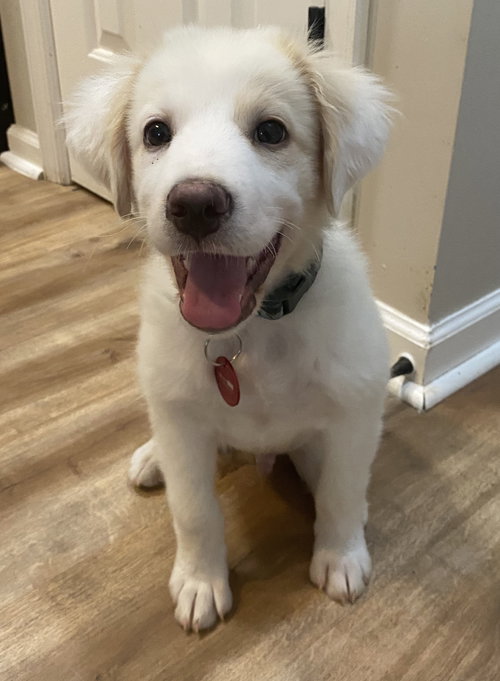 Gunner