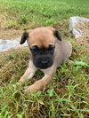 Ellie Mae