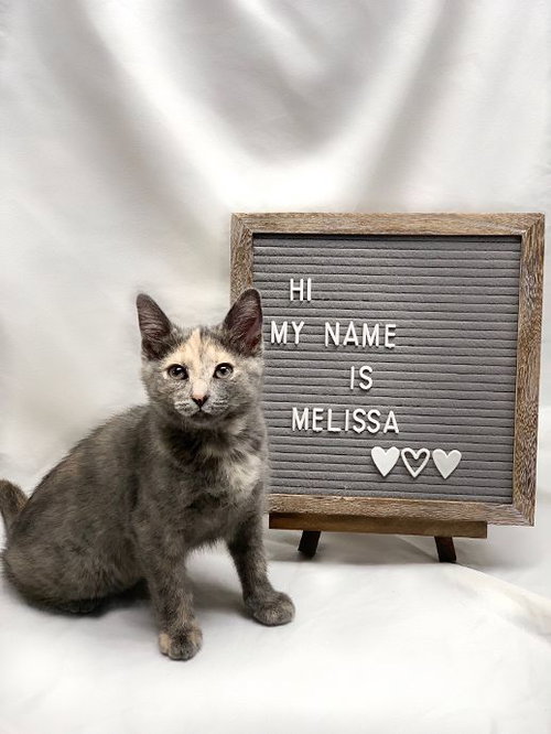 Melissa