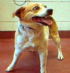 Ethel