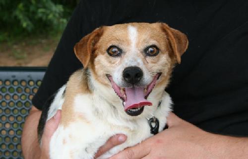 Ethel